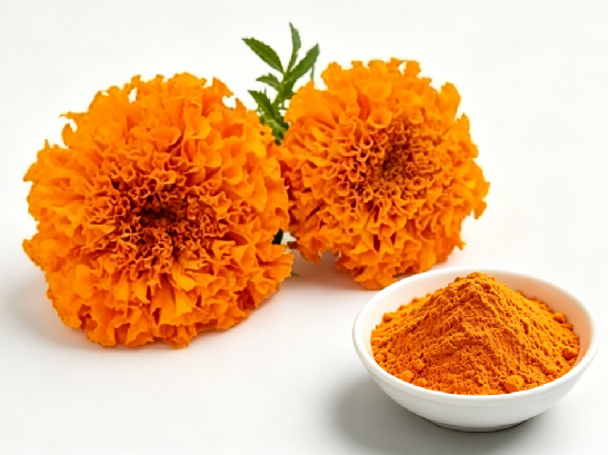 Zeaxanthin: Benefits, Uses and Eye Health Support